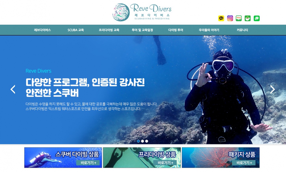 레브다이버스 웹사이트 제작