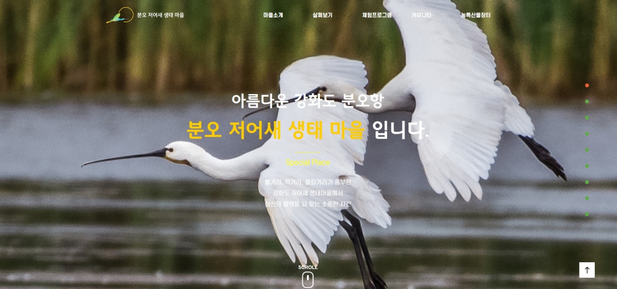 분오저어새생태마을 웹사이트 제작